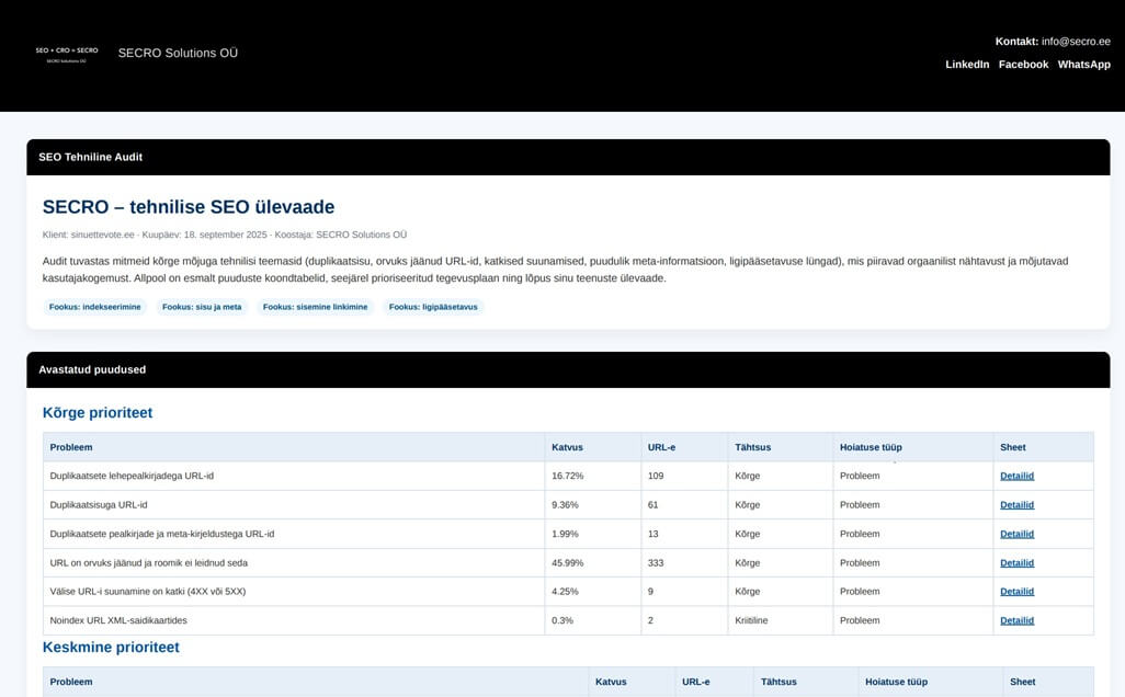 Tasuta tehnilise SEO raporti näidis.